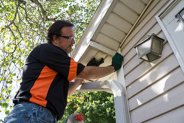 Best Stone Veneer Siding  in Delavan, WI